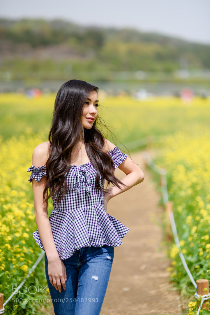Nikon D810 sample photo. Canola flowers photography