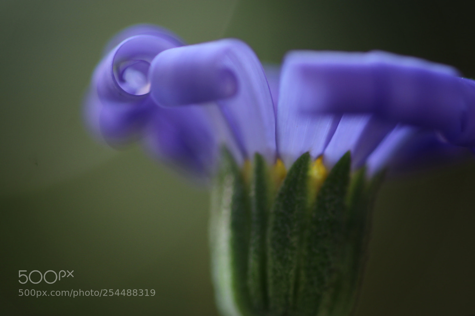Canon EOS 80D sample photo. Untitled photography