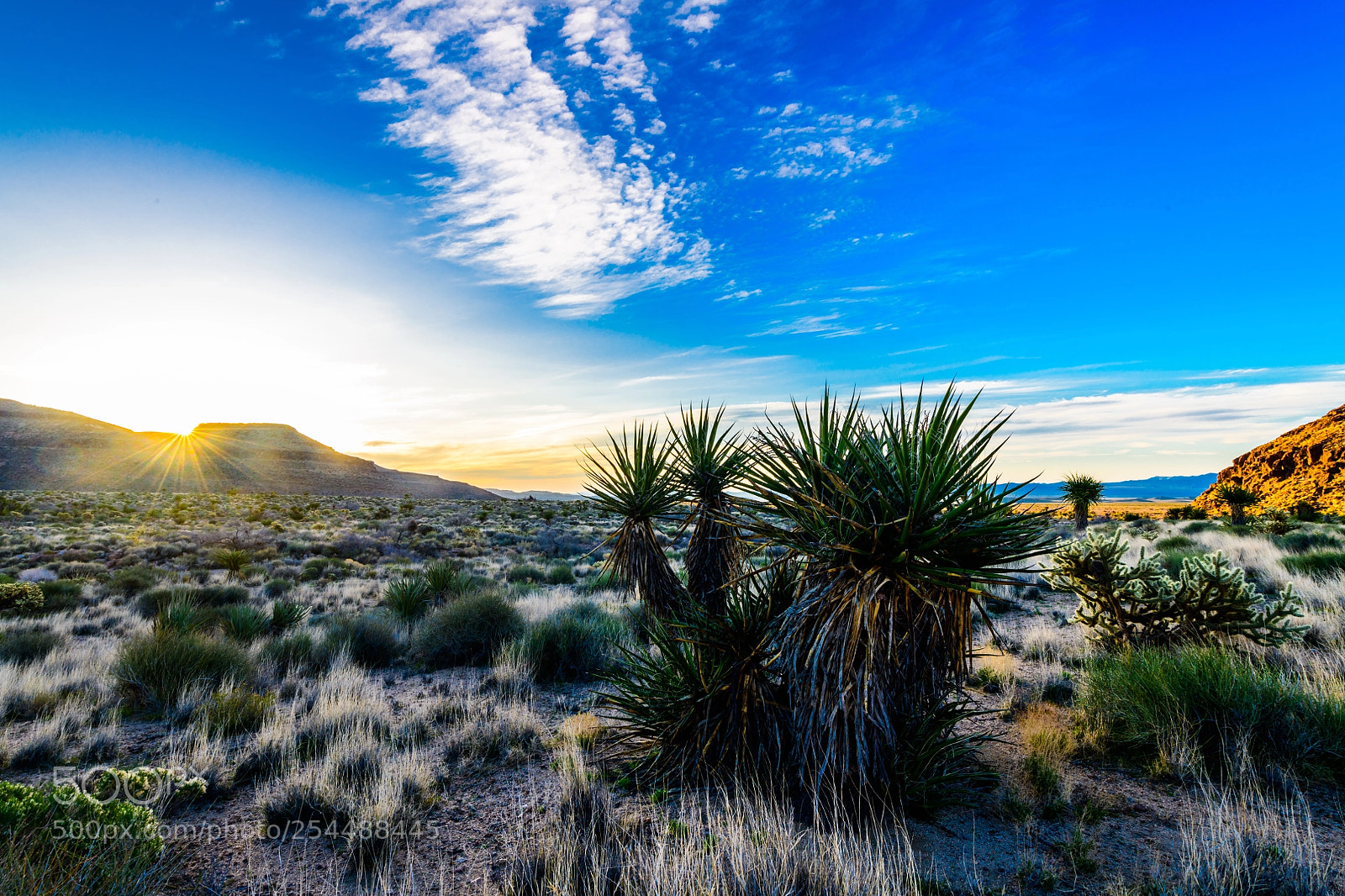 Nikon D850 sample photo. Mojave sunrise photography