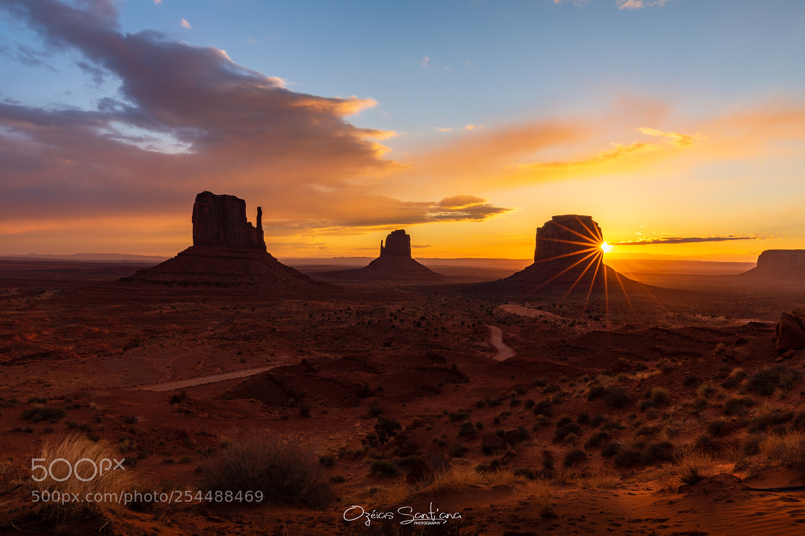 Canon EOS 5D Mark IV sample photo. Shining star photography