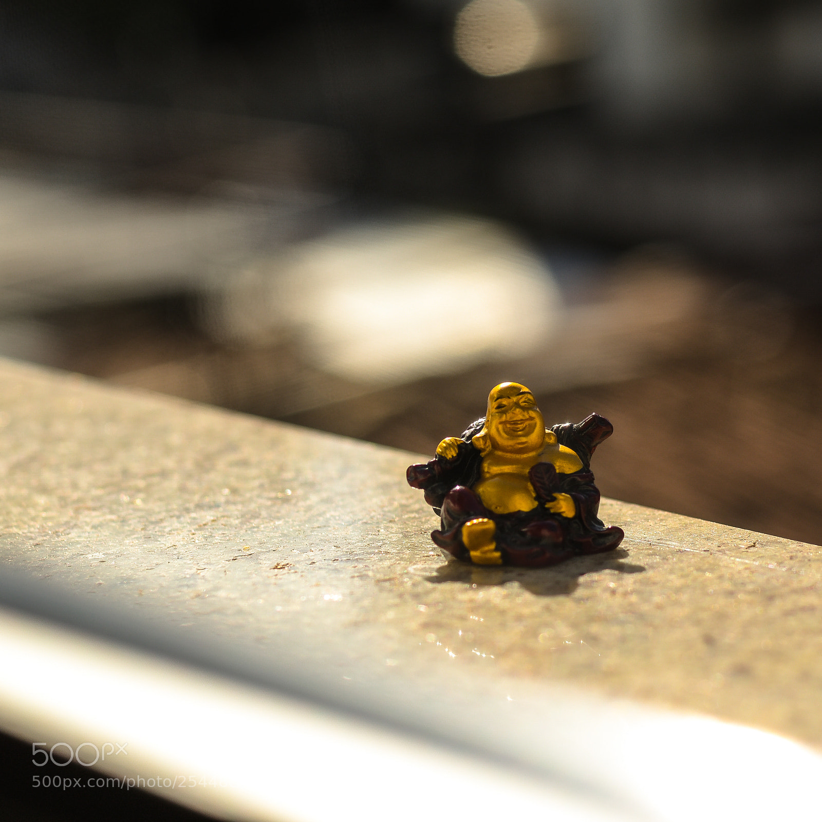Nikon D5600 sample photo. What is the meaning photography