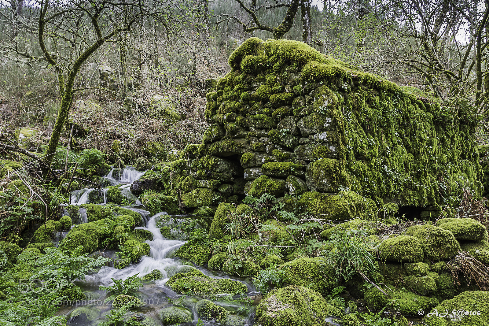 Nikon D7200 sample photo. Refuge photography