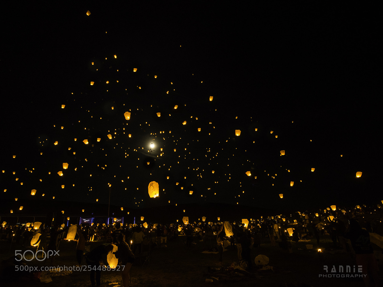 Nikon D810 sample photo. The lights festival photography
