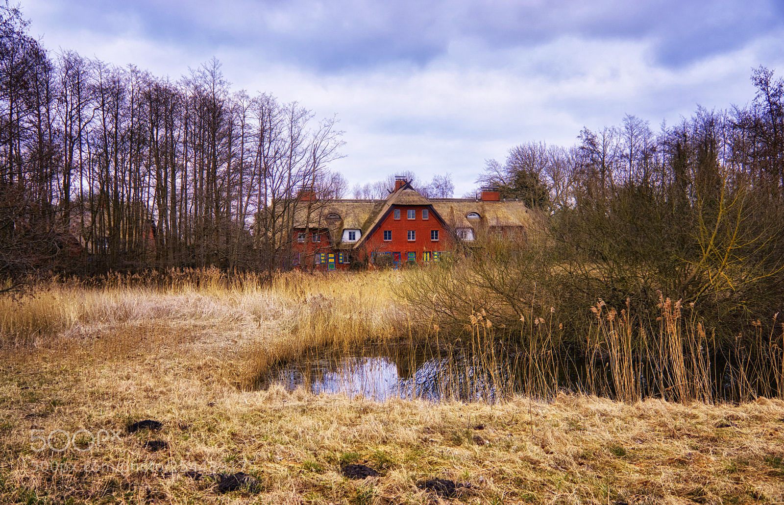 Sony a6000 sample photo. Teich am haus ahrenshoop photography