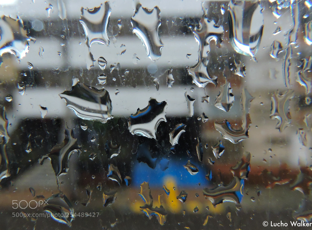 Nikon Coolpix P600 sample photo. Drops photography