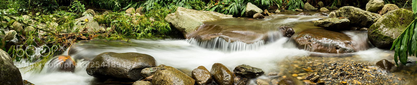 Olympus OM-D E-M1 Mark II sample photo. Amazonia photography