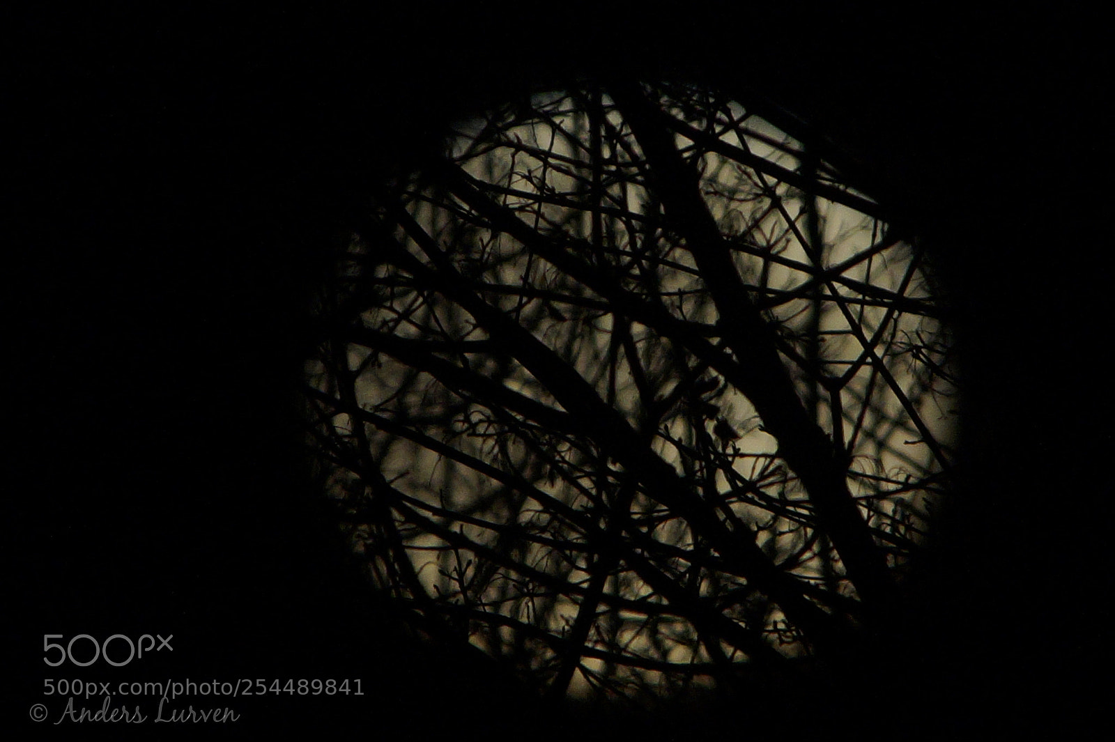 Sony SLT-A58 sample photo. Untitled photography