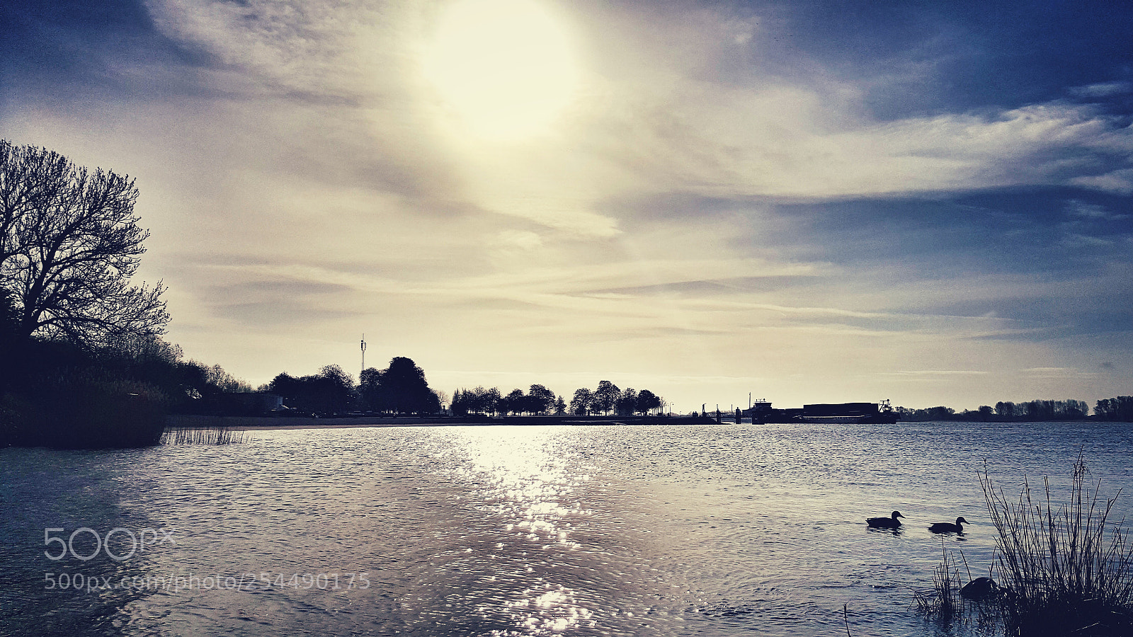 Samsung Galaxy S6 sample photo. • river in the morning • photography