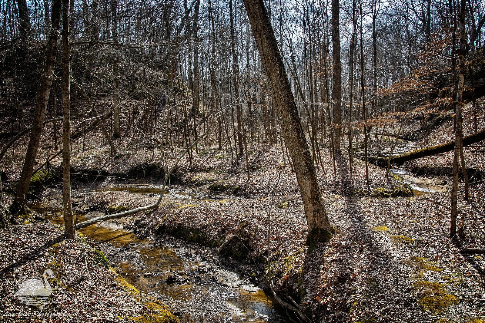 Nikon D5200 sample photo. Canyon floor photography