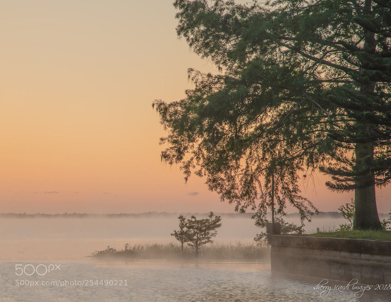 Nikon D850 sample photo. Misty sunrise. photography