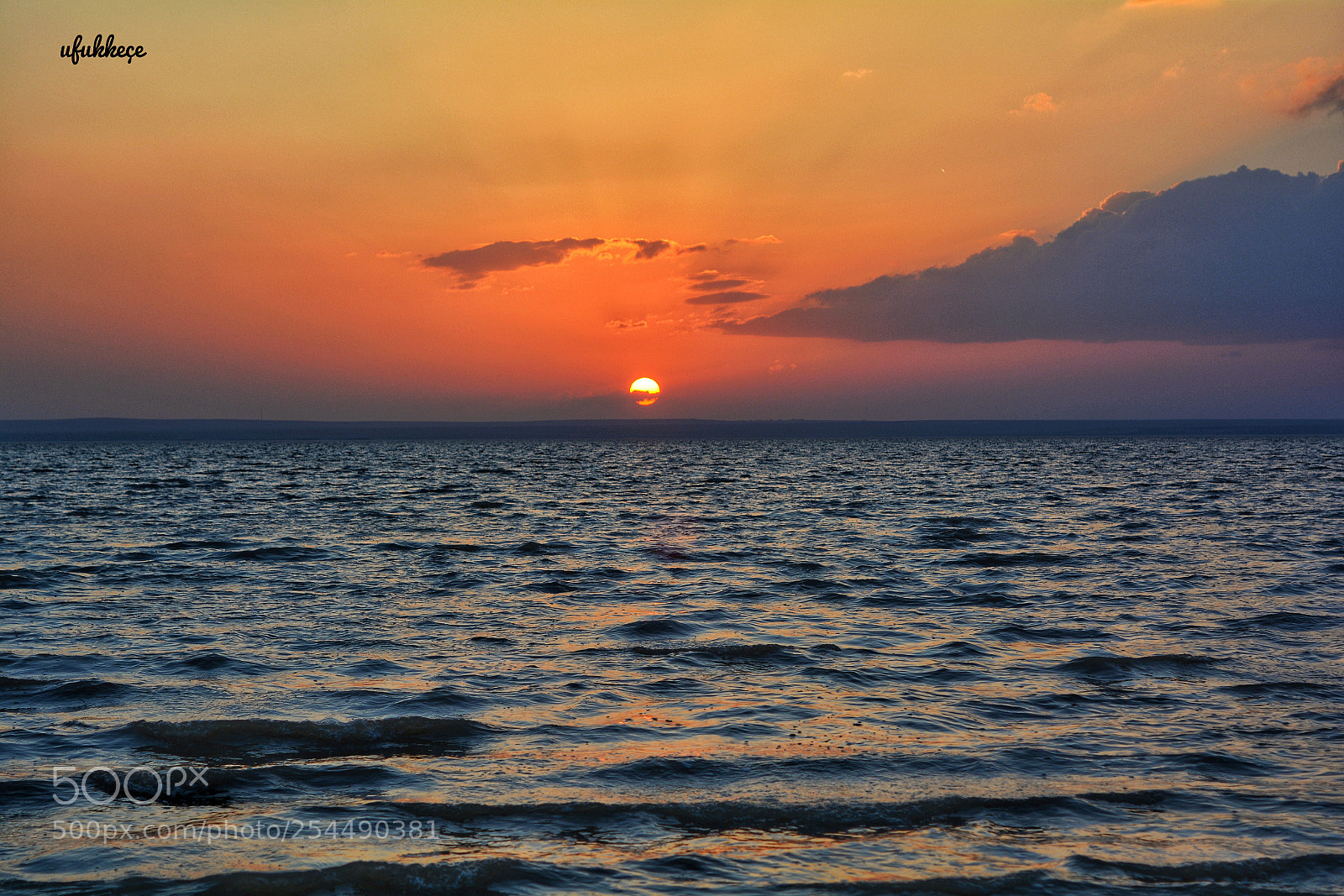 Nikon D5200 sample photo. Untitled photography