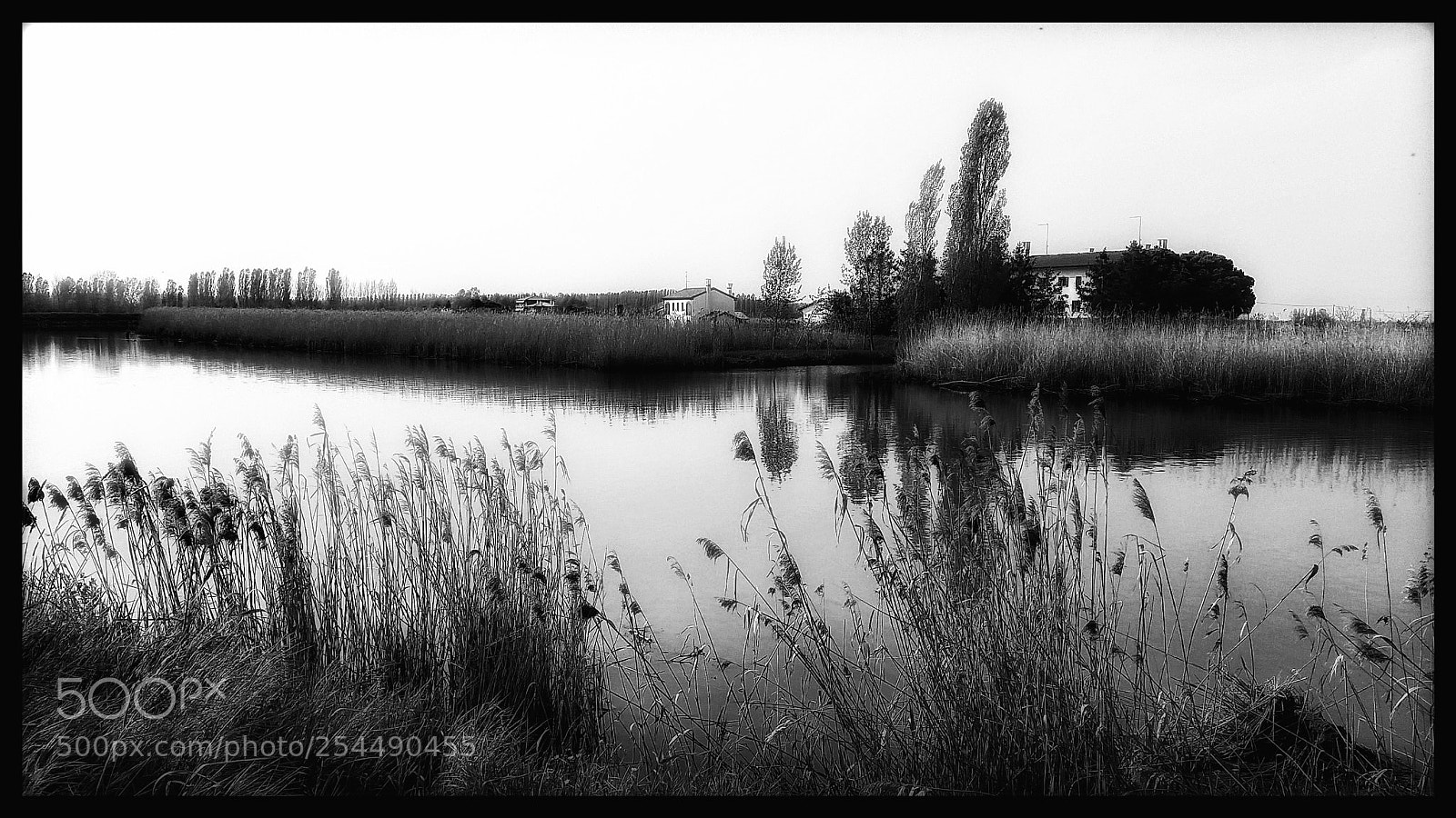 Samsung Galaxy S5 sample photo. Untitled photography