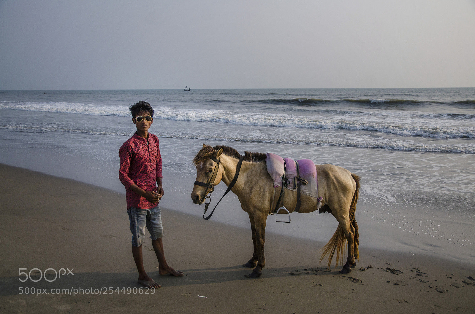 Nikon D7000 sample photo. The horseman and his photography