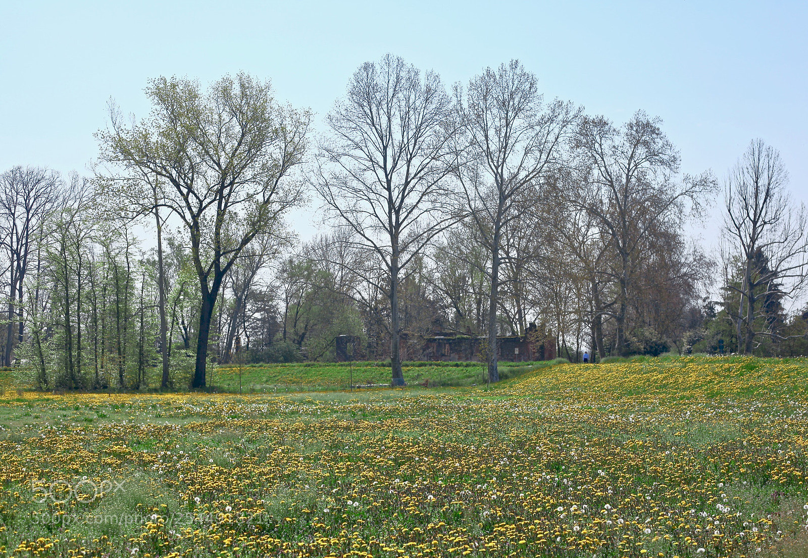Canon EOS 5D Mark II sample photo. Untitled photography