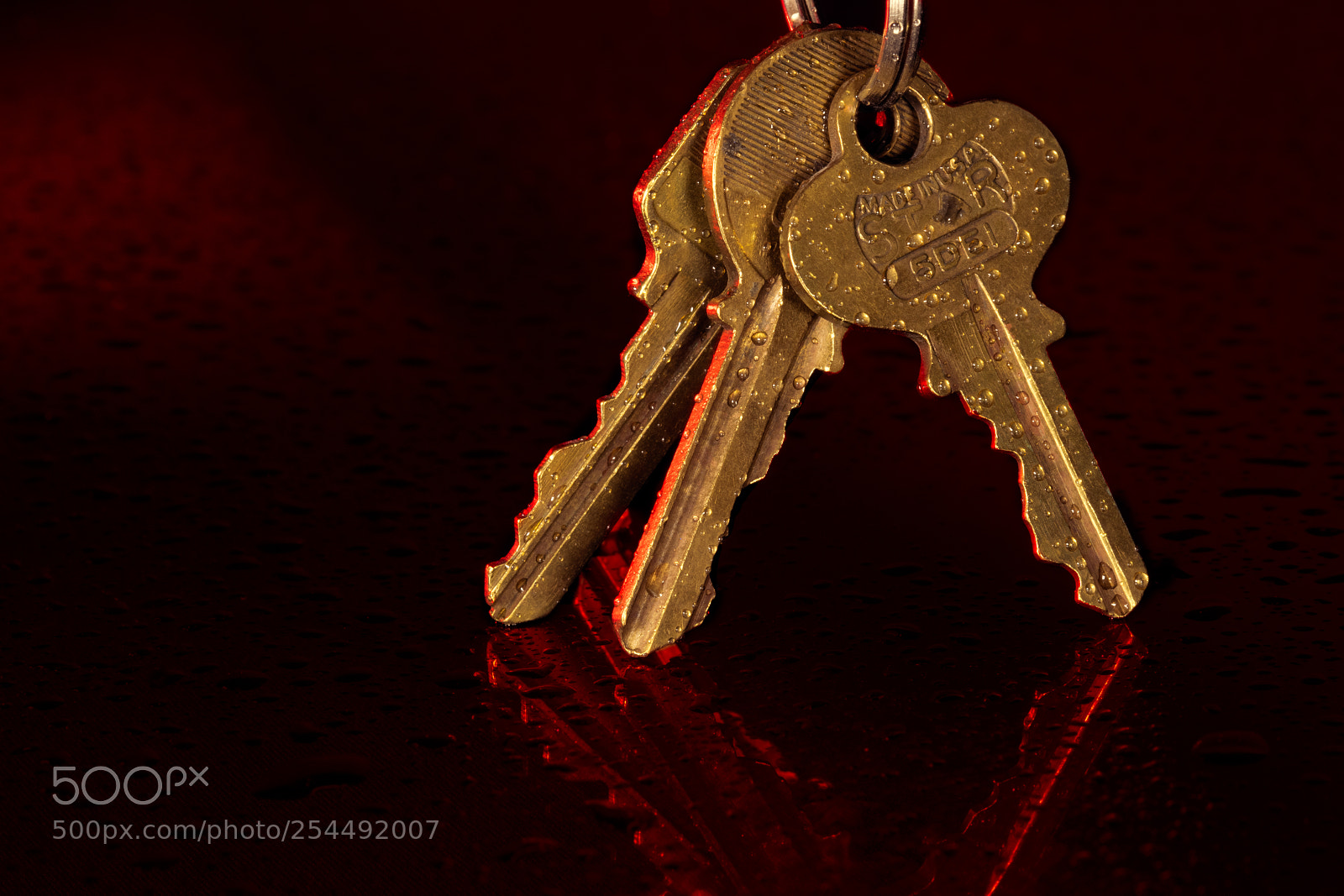 Nikon D850 sample photo. Keys photography