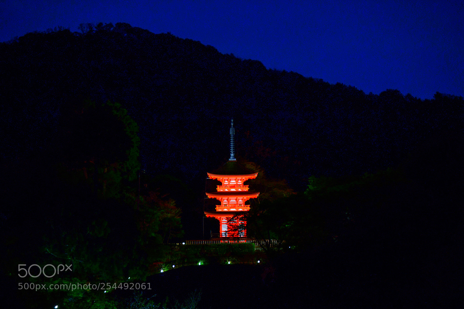 Nikon D850 sample photo. 清水寺夜景 photography