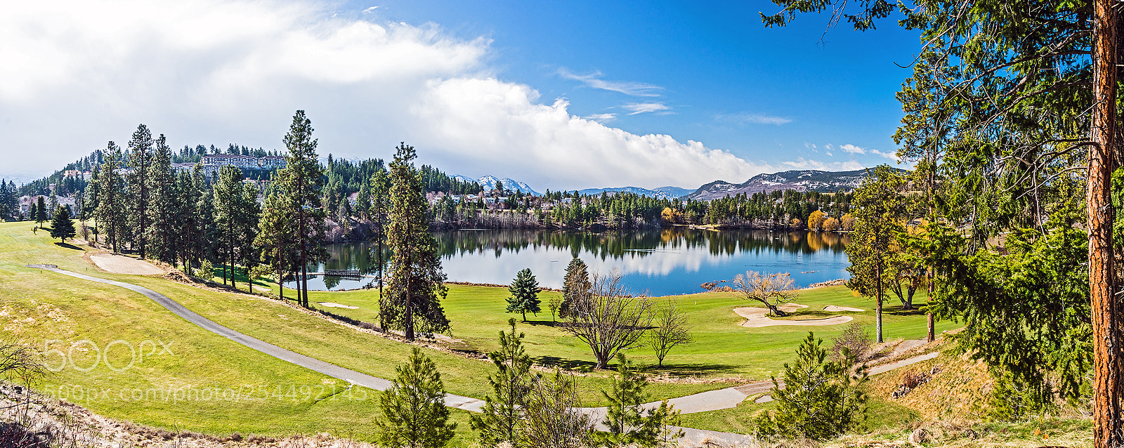 Nikon D610 sample photo. Spring in the okanagan photography