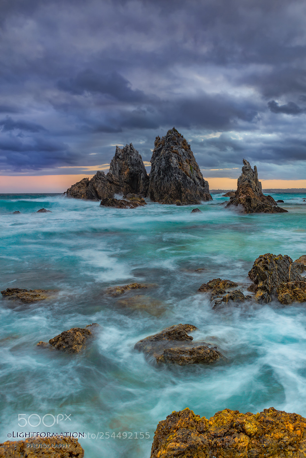 Canon EOS 5DS R sample photo. Wild! photography