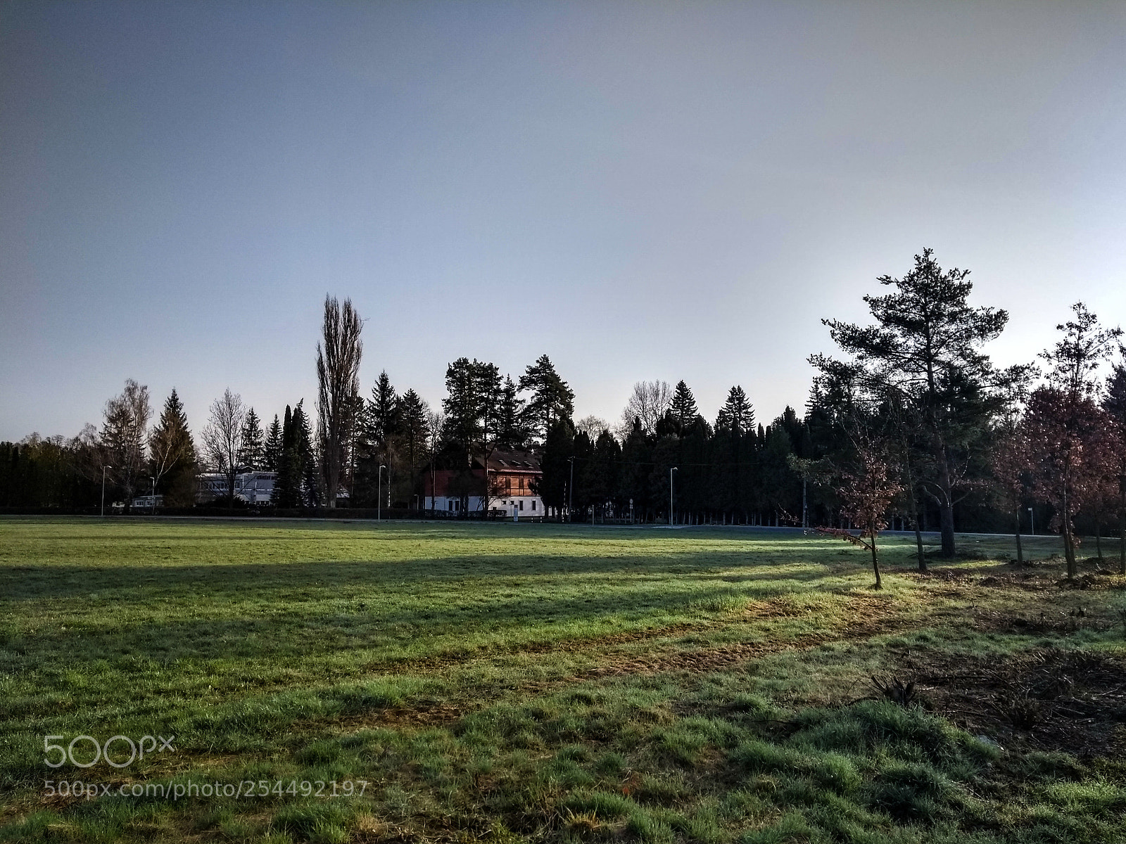 Motorola Moto G (5th Gen) sample photo. Morning again photography