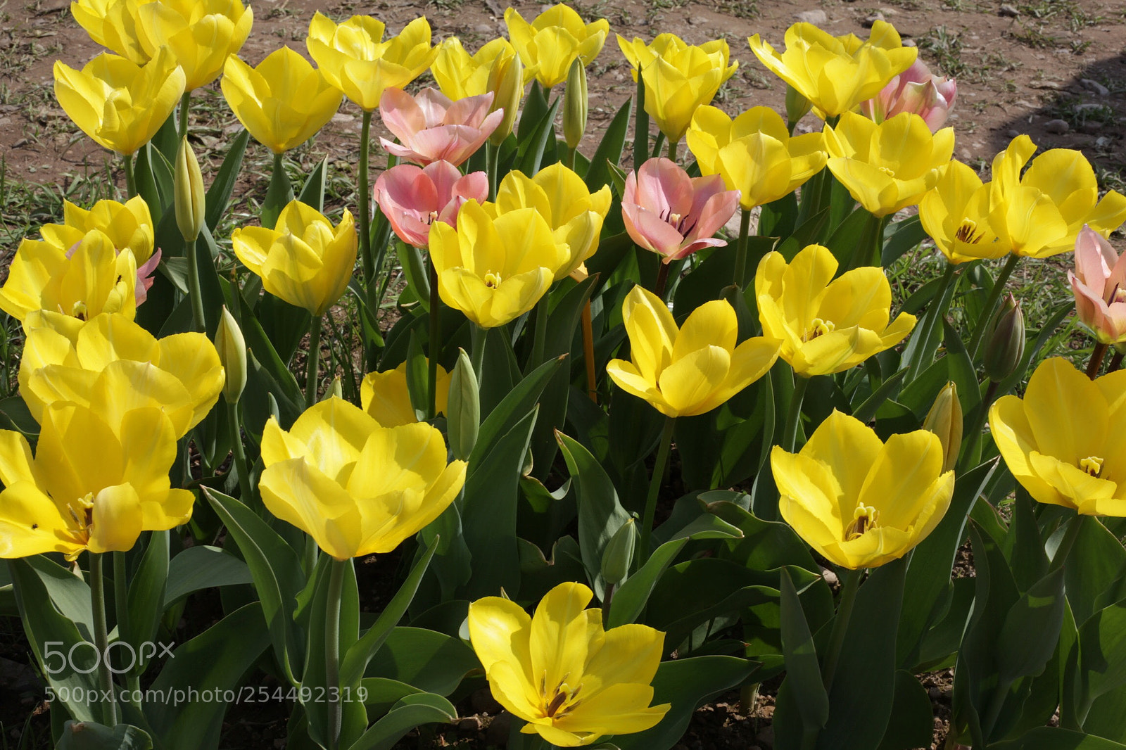 Canon EOS 5D Mark II sample photo. Untitled photography