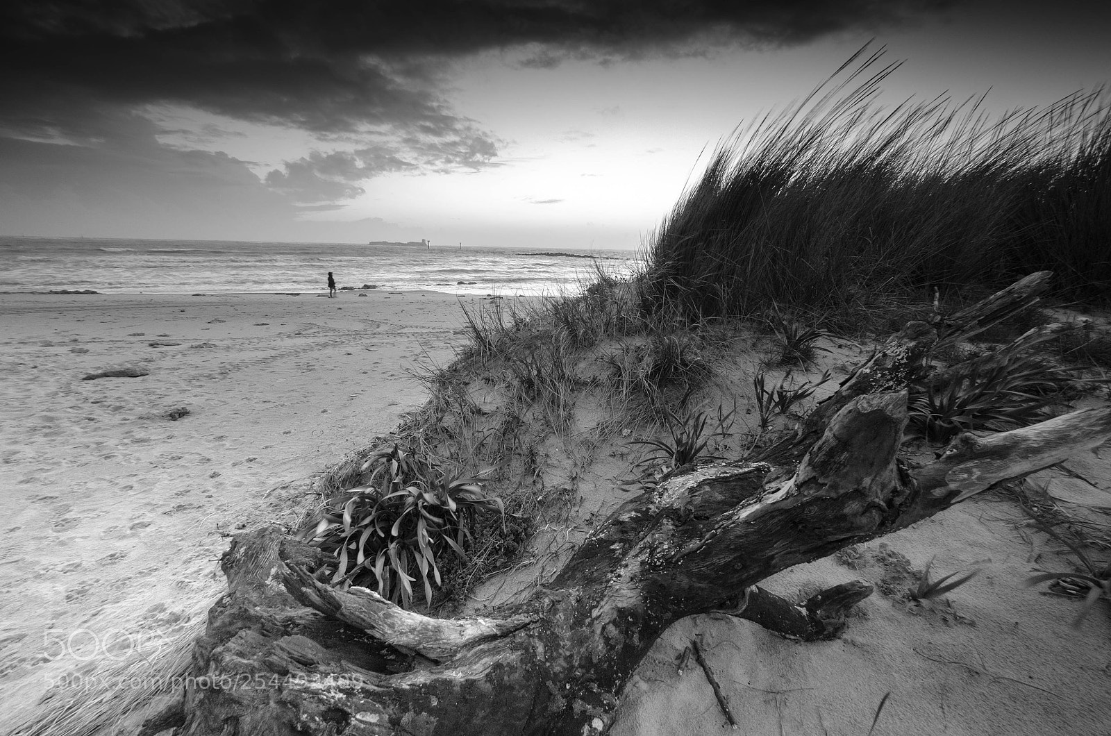 Nikon D7000 sample photo. Hiddenfromthestorm photography