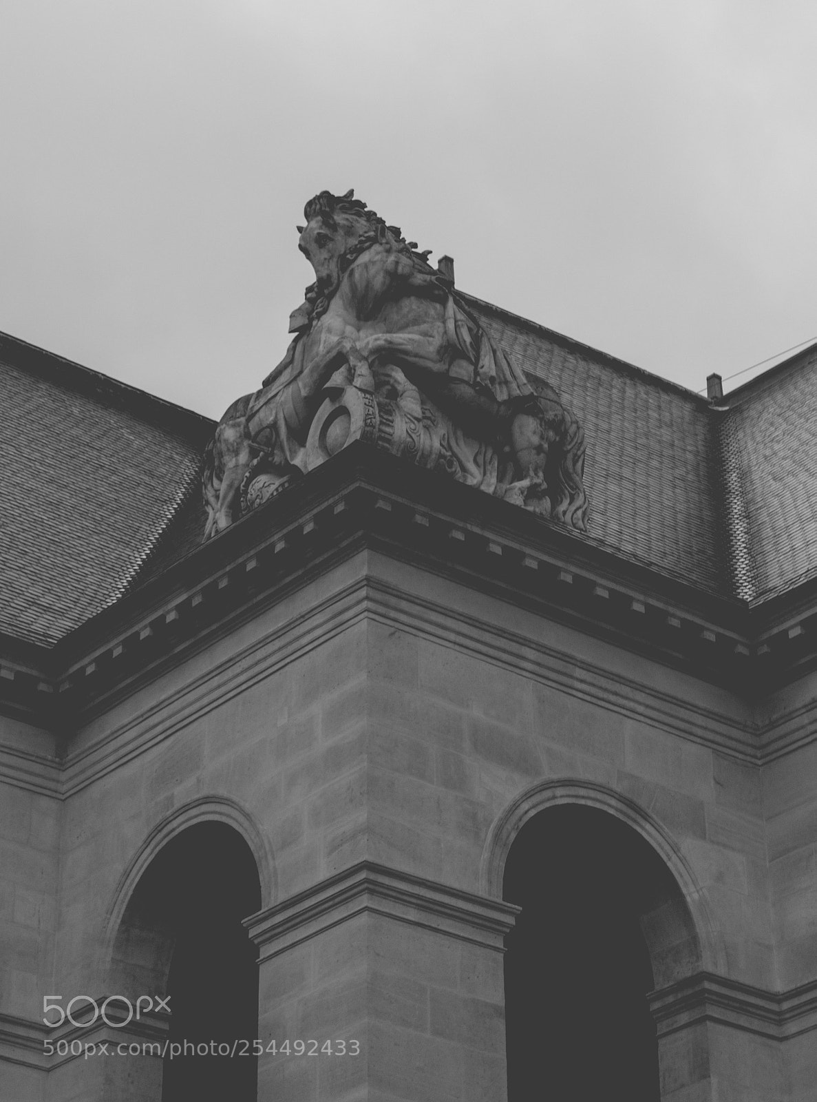 Nikon D3300 sample photo. Might and pride photography