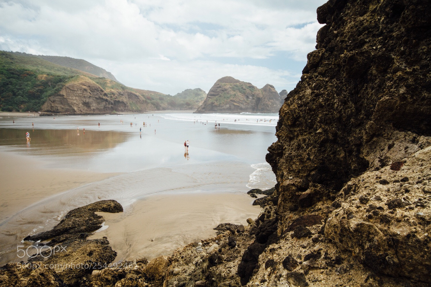 Canon EOS 7D sample photo. Piha photography