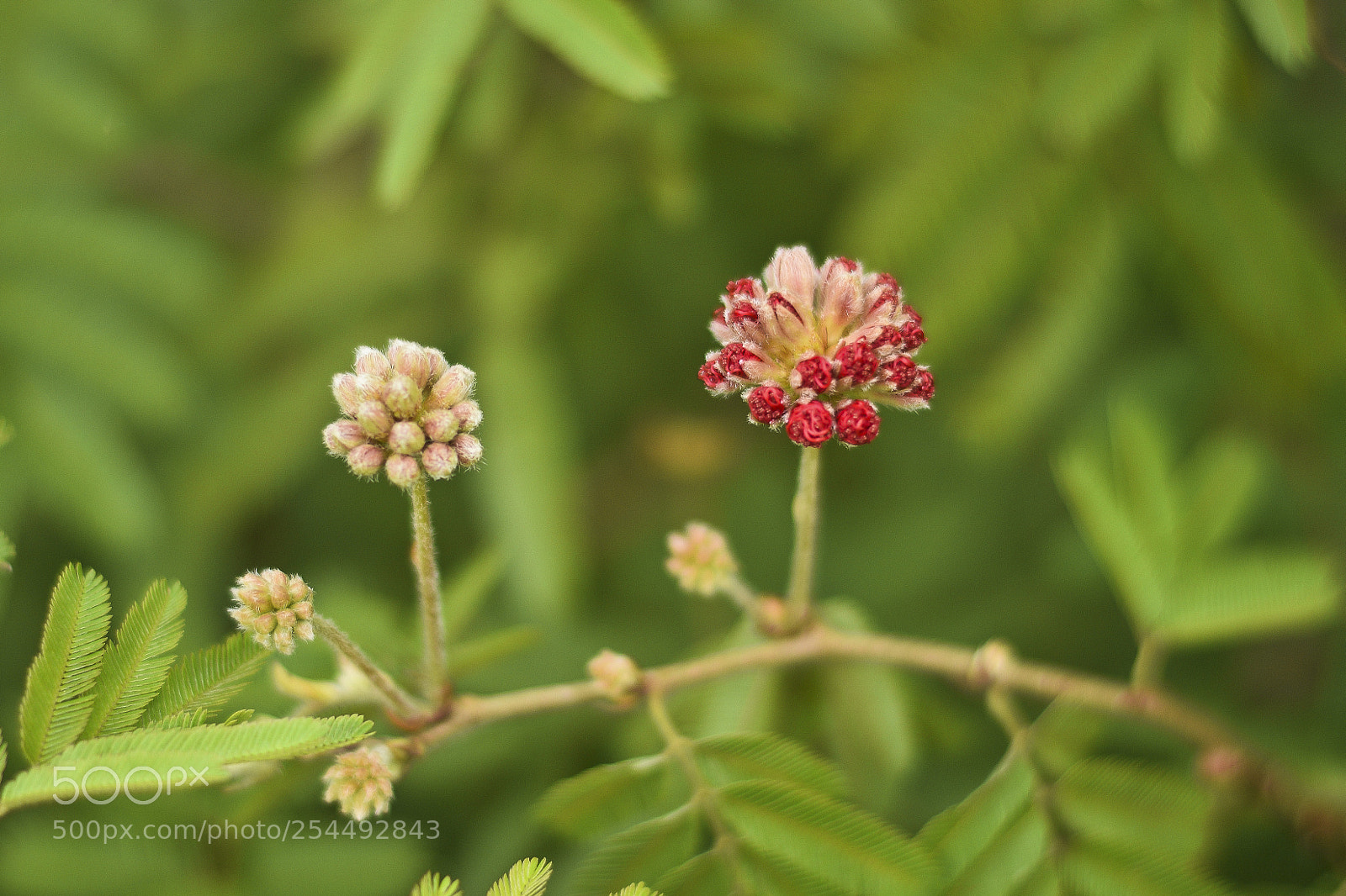 Nikon D5300 sample photo. Um momento muito esperado photography
