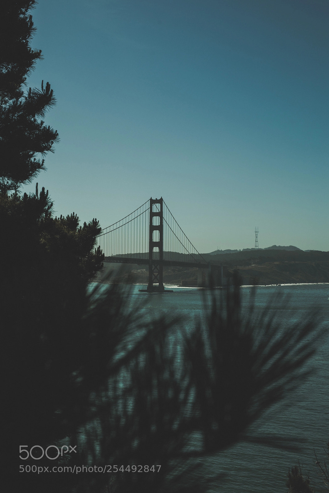 Canon EOS 5D Mark IV sample photo. The bay photography
