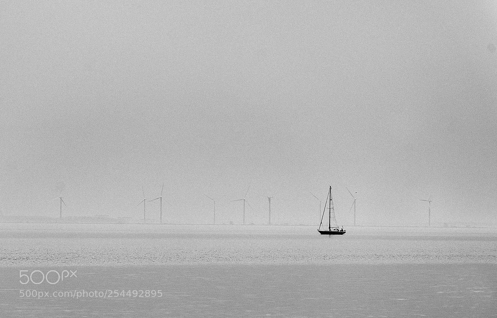 Nikon D700 sample photo. Venturing into a misty photography