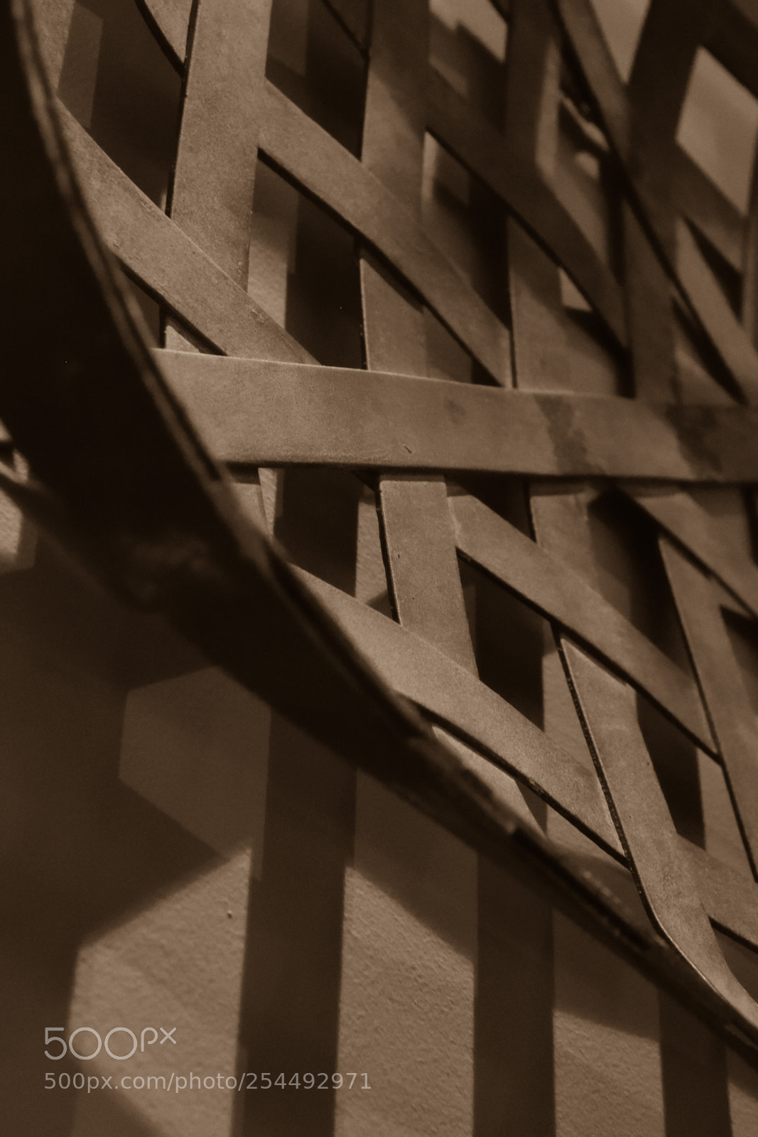 Nikon D3300 sample photo. Sepia decor photography