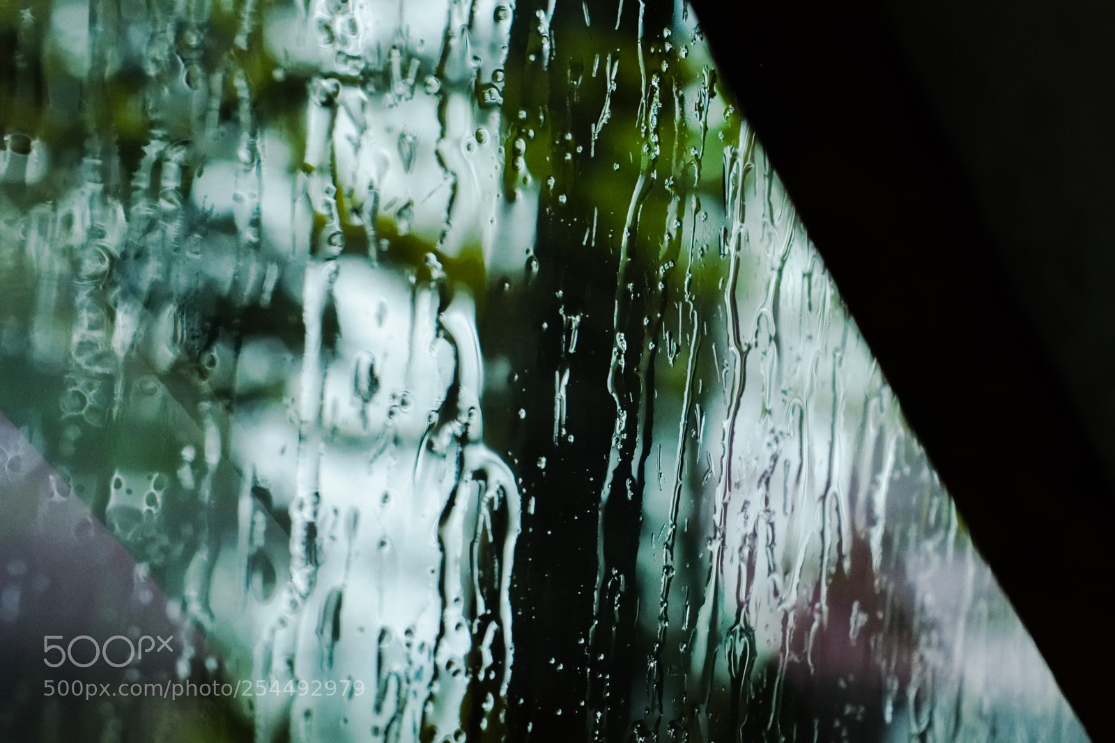 Nikon D3300 sample photo. Rain on windows photography