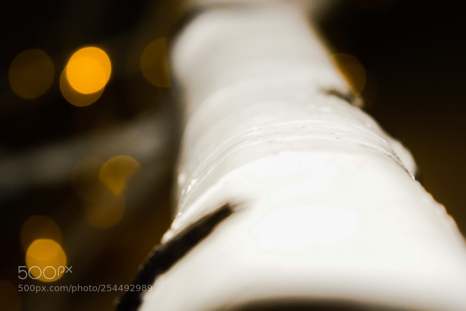 Nikon D3300 sample photo. Bokeh & birch photography