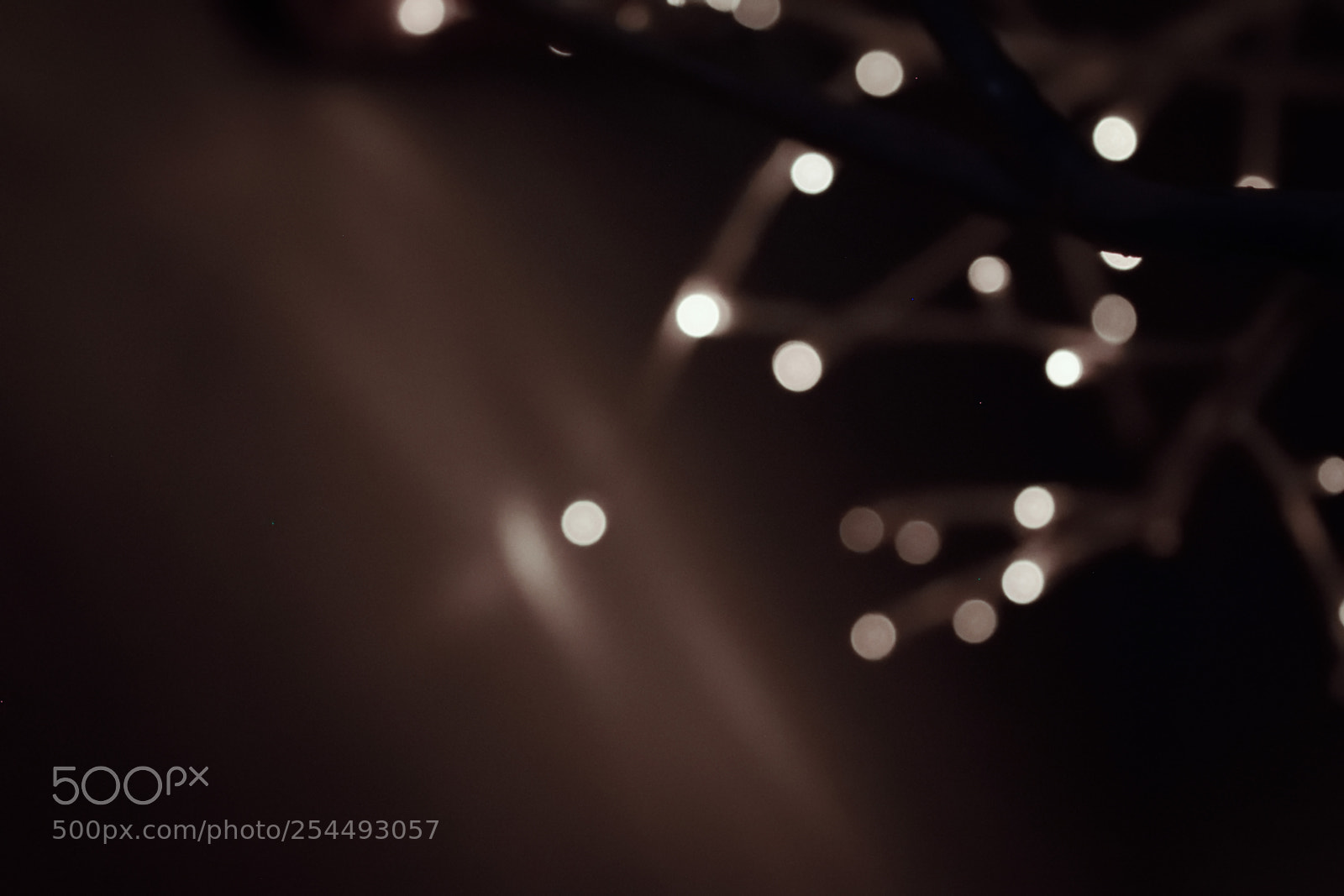 Nikon D3300 sample photo. Bokeh photography