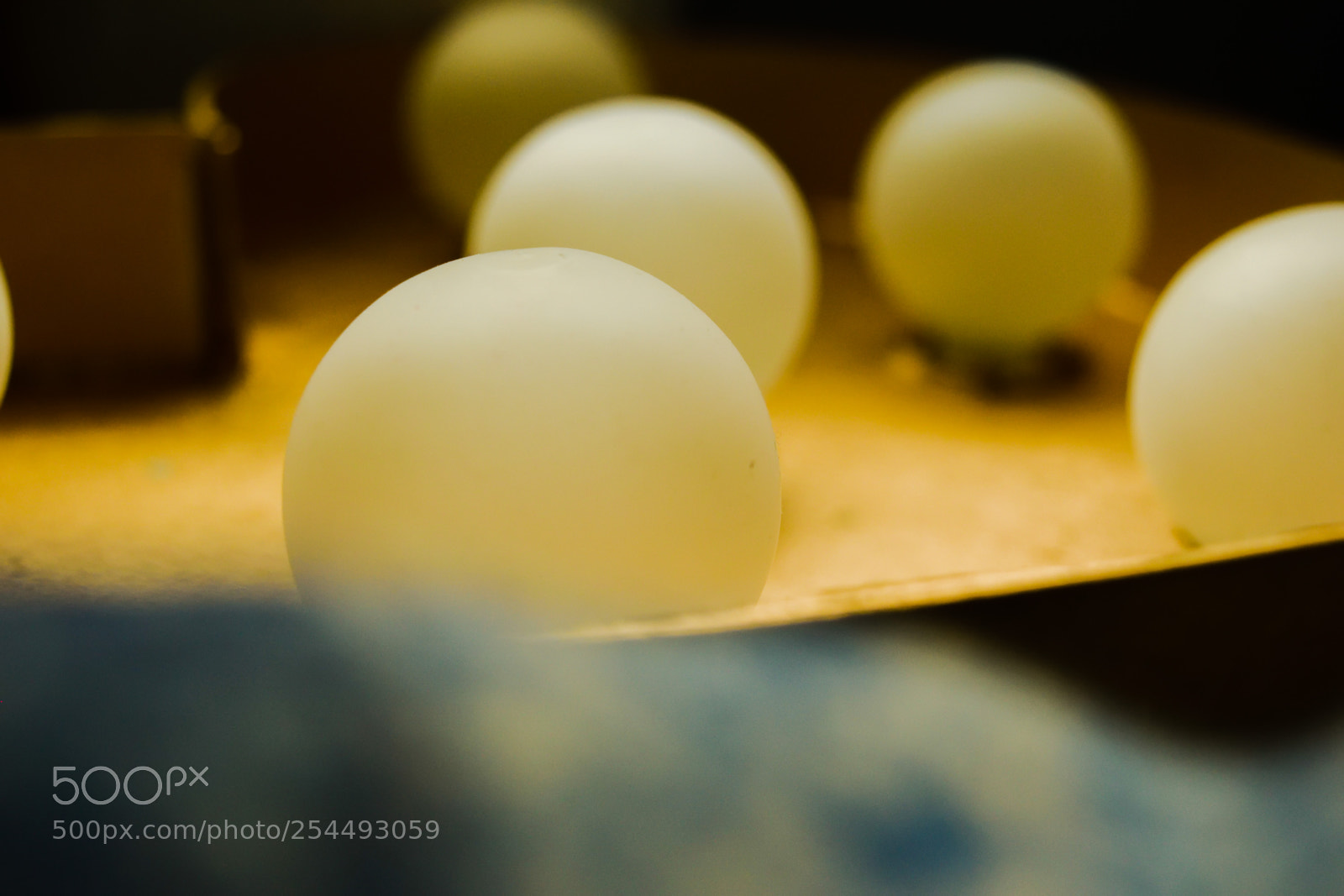 Nikon D3300 sample photo. Lights photography