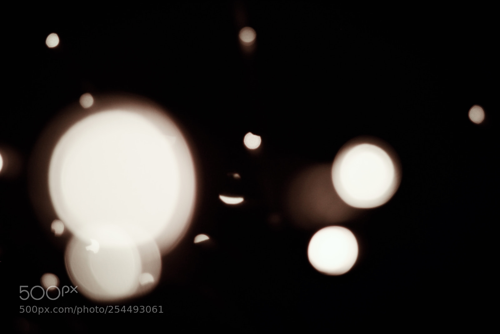 Nikon D3300 sample photo. White bokeh photography