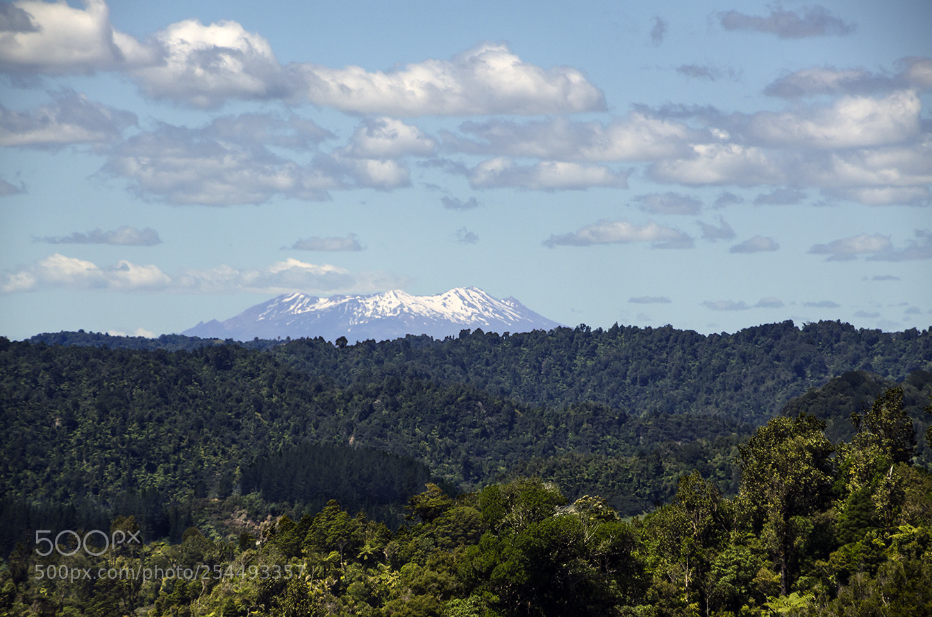 Nikon D7000 sample photo. Looking over photography