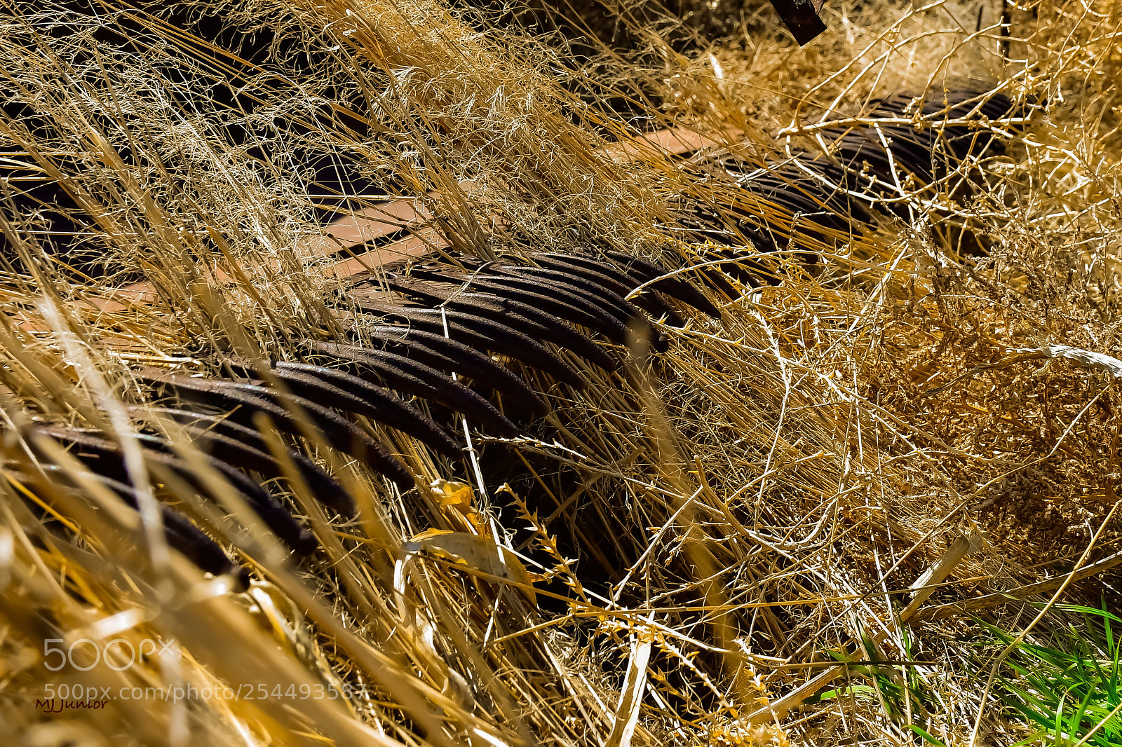 Nikon D7500 sample photo. Farm equip 0008... photography