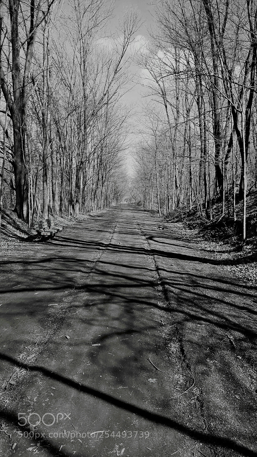 Samsung Galaxy Note5 sample photo. Trail photography