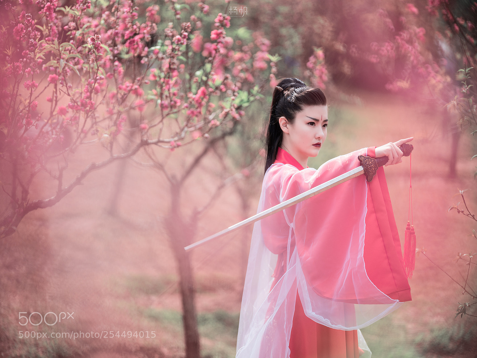 Fujifilm GFX 50S sample photo. 醉。桃花 photography