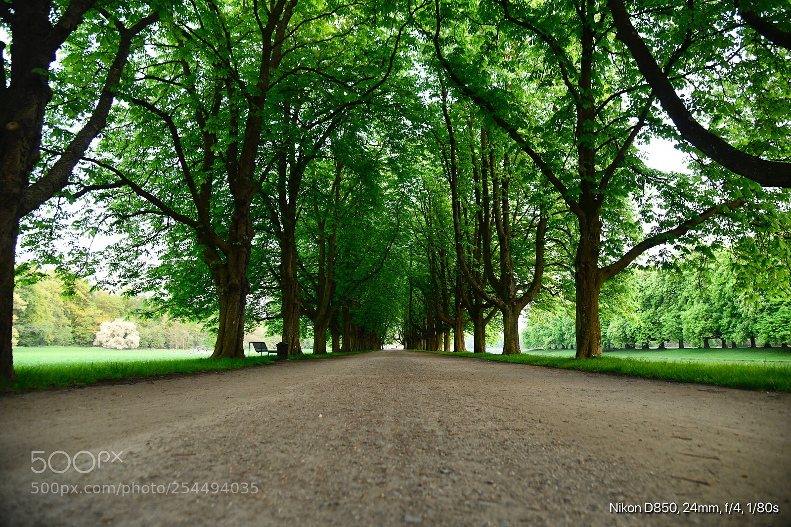Nikon D850 sample photo. Decksteiner weiher
cologne  photography