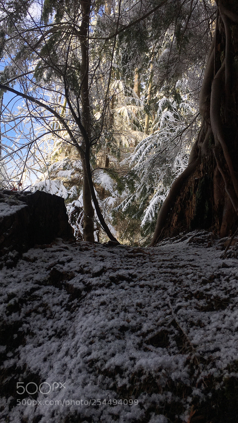 Apple iPhone 6s Plus sample photo. Snow photography