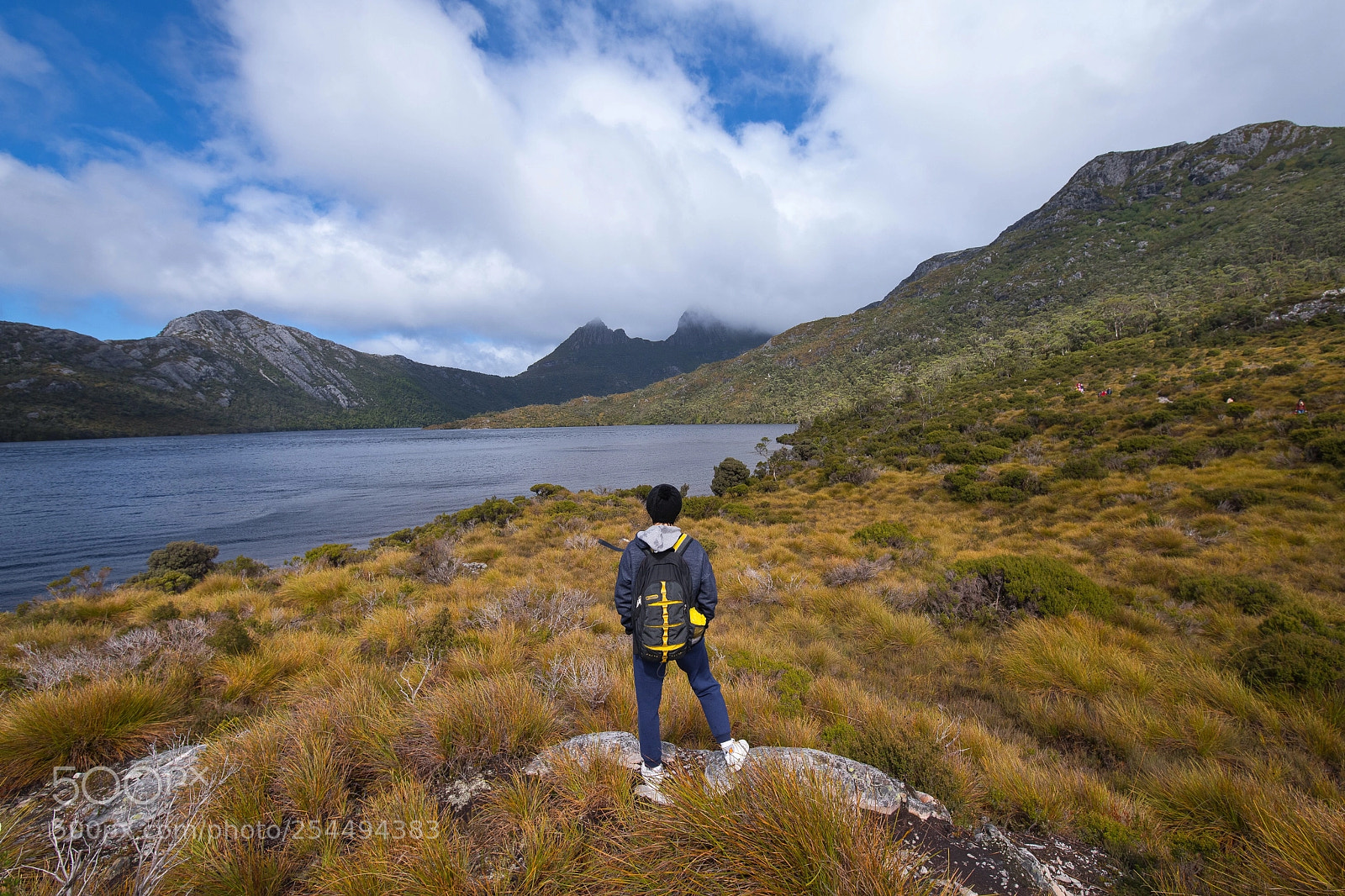 Nikon D850 sample photo. Foggy cradle mountain photography