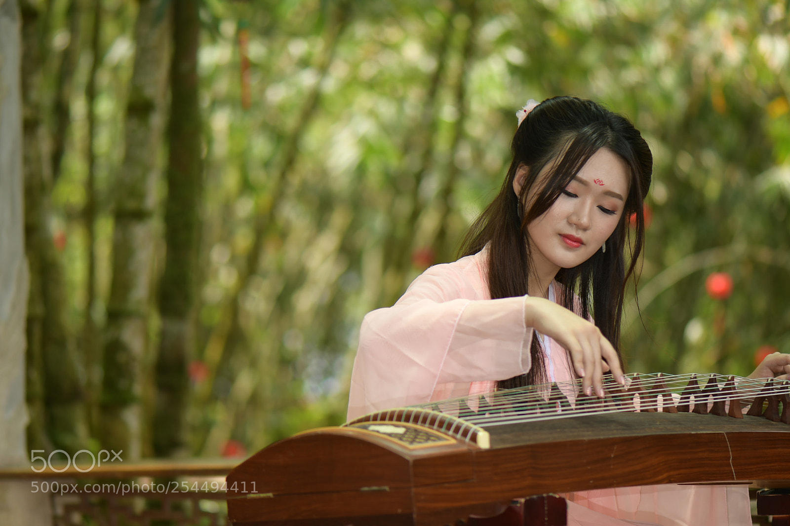 Nikon D7500 sample photo. Dsc photography