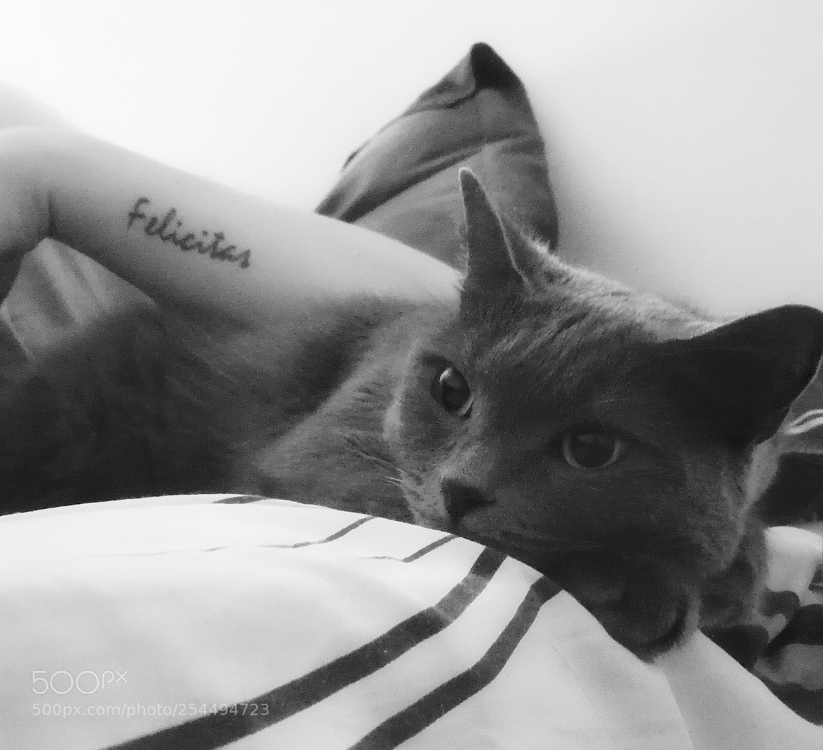 HUAWEI Mate 9 sample photo. Tattoo! photography
