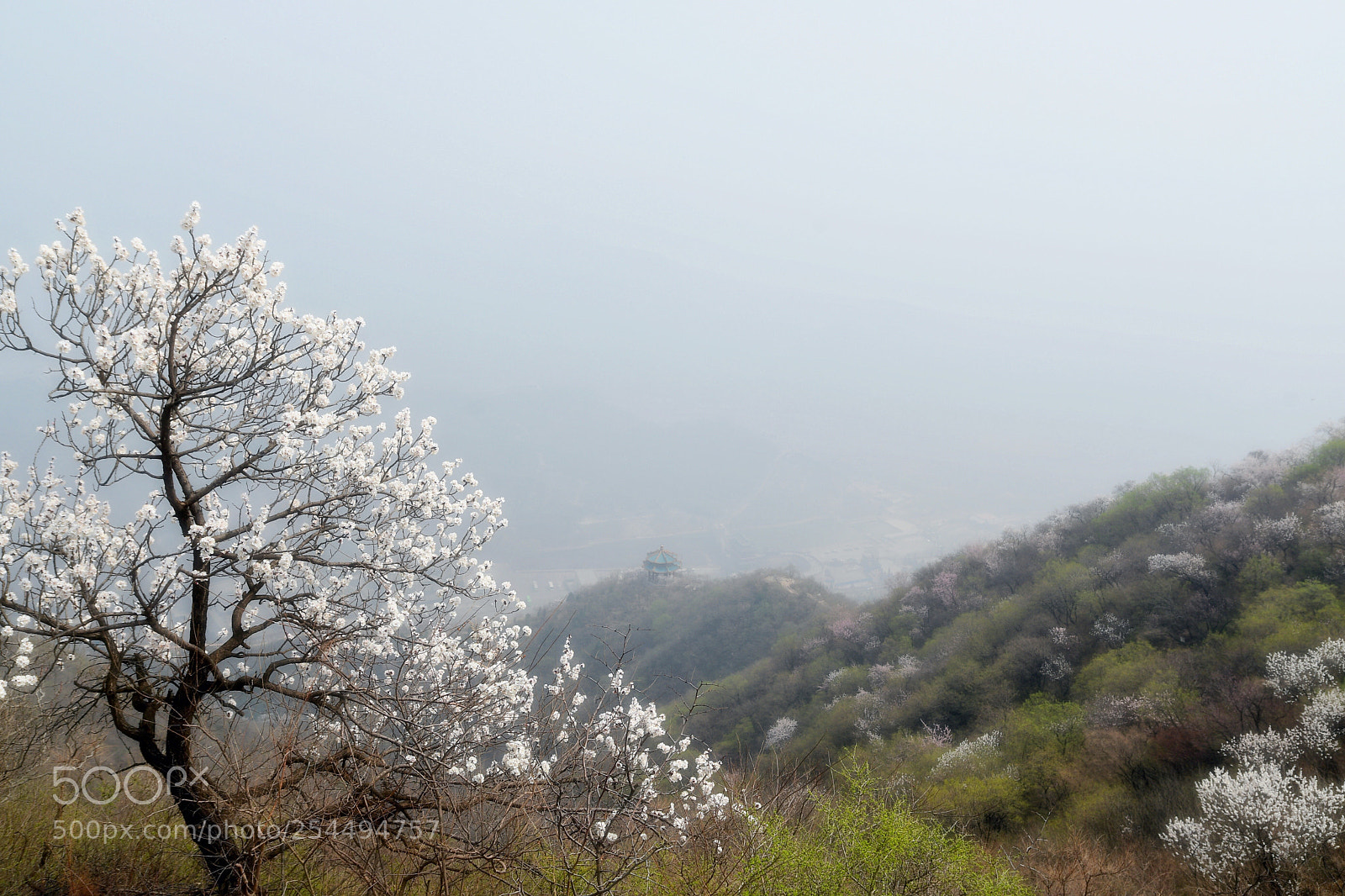 Nikon D7500 sample photo. Beautiful china photography