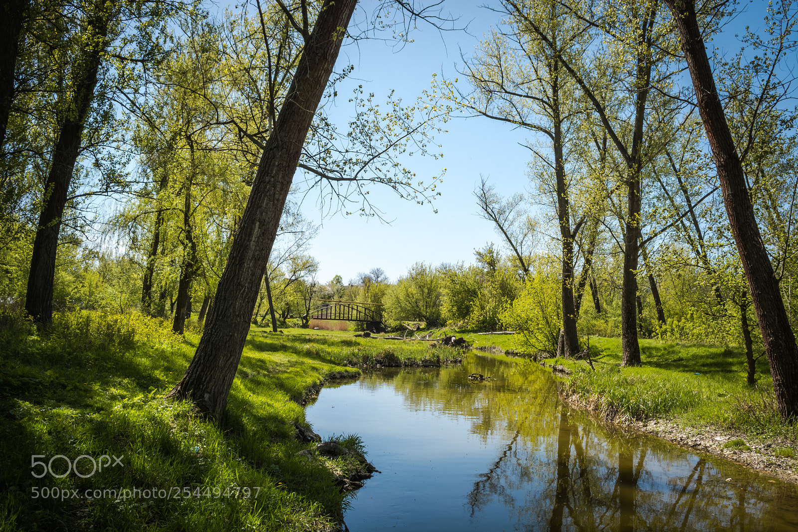 Nikon D5200 sample photo. Green landscape photography