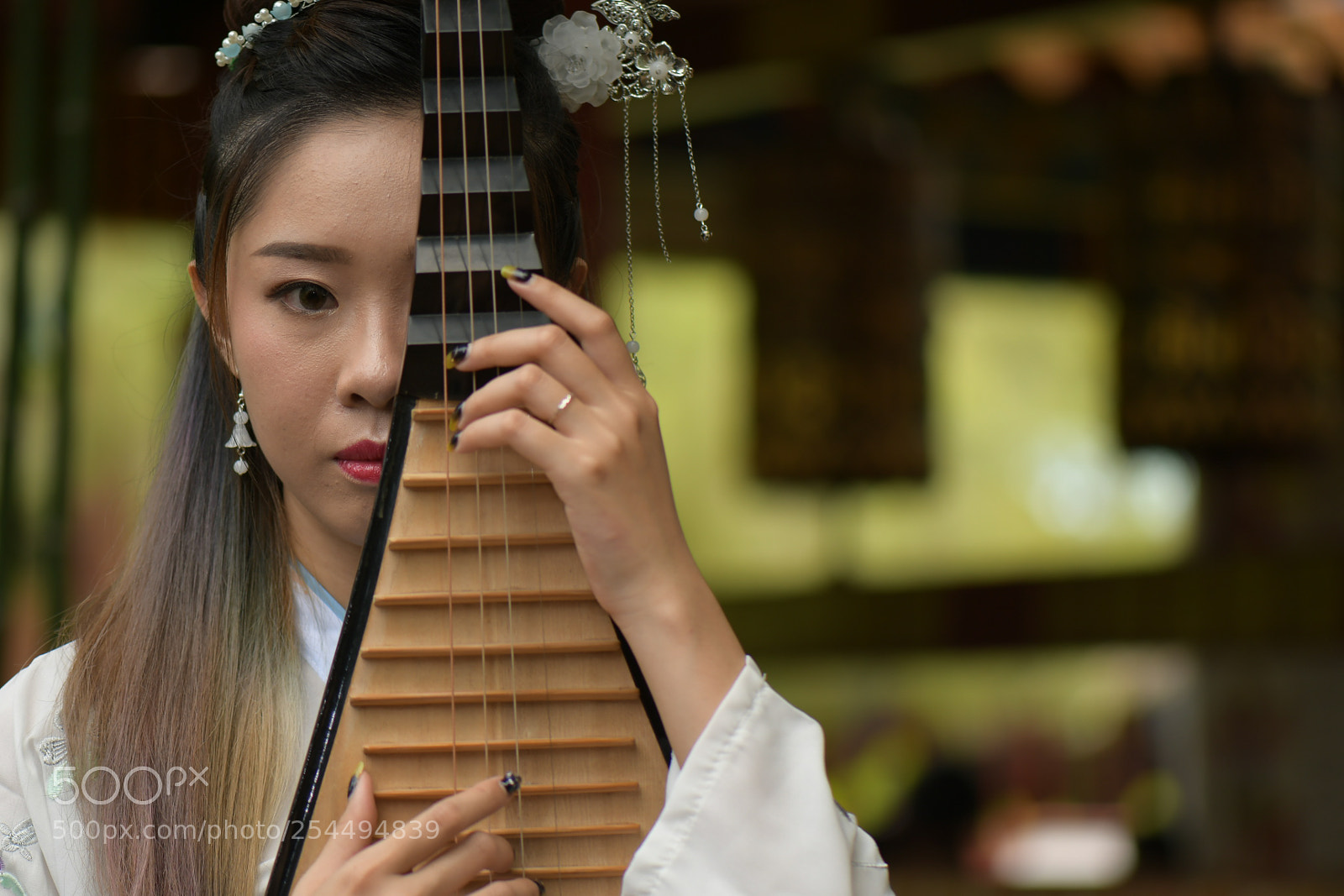 Nikon D7500 sample photo. 犹抱批琶半遮脸 photography