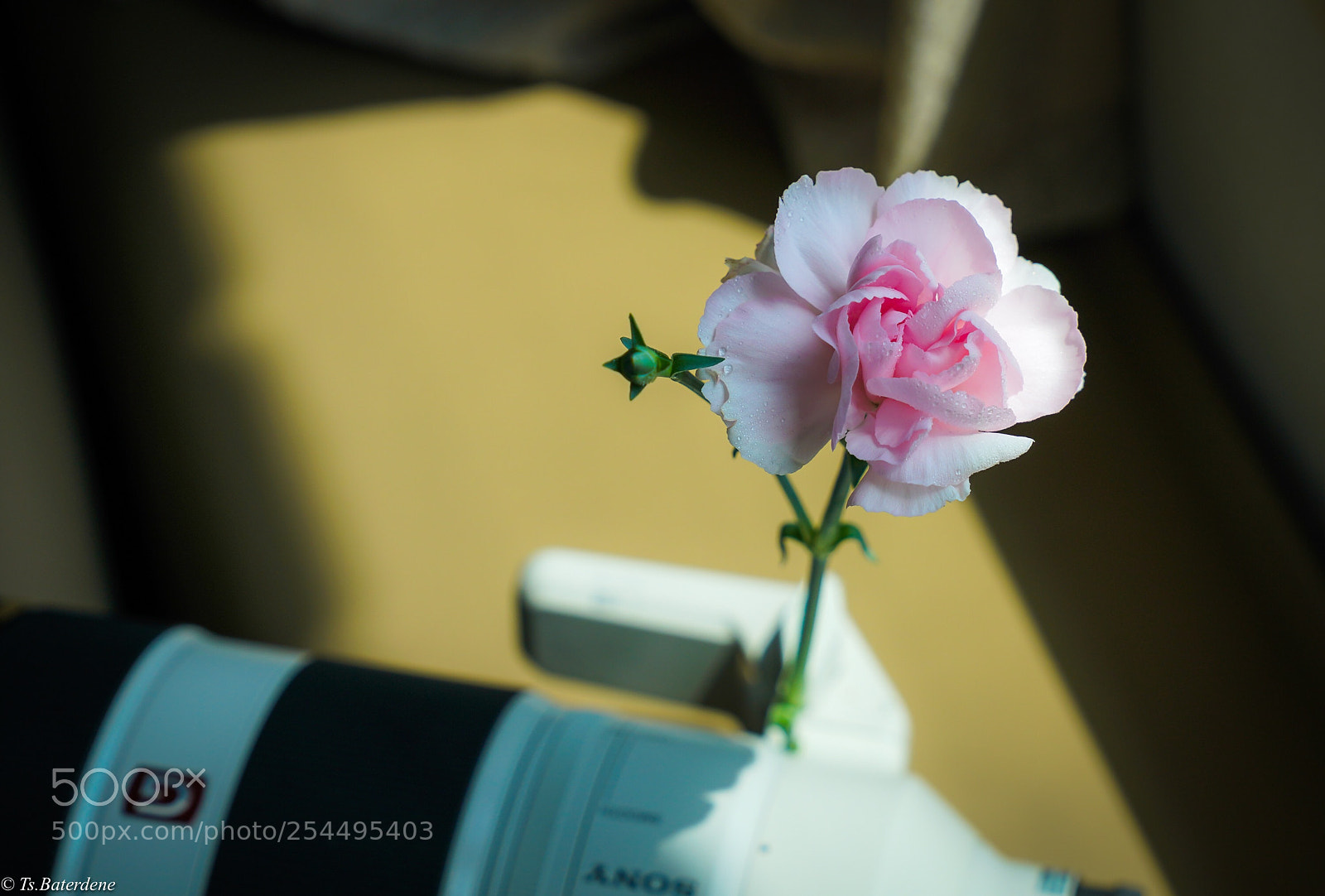 Sony a7R III sample photo. To 500px friends
 photography