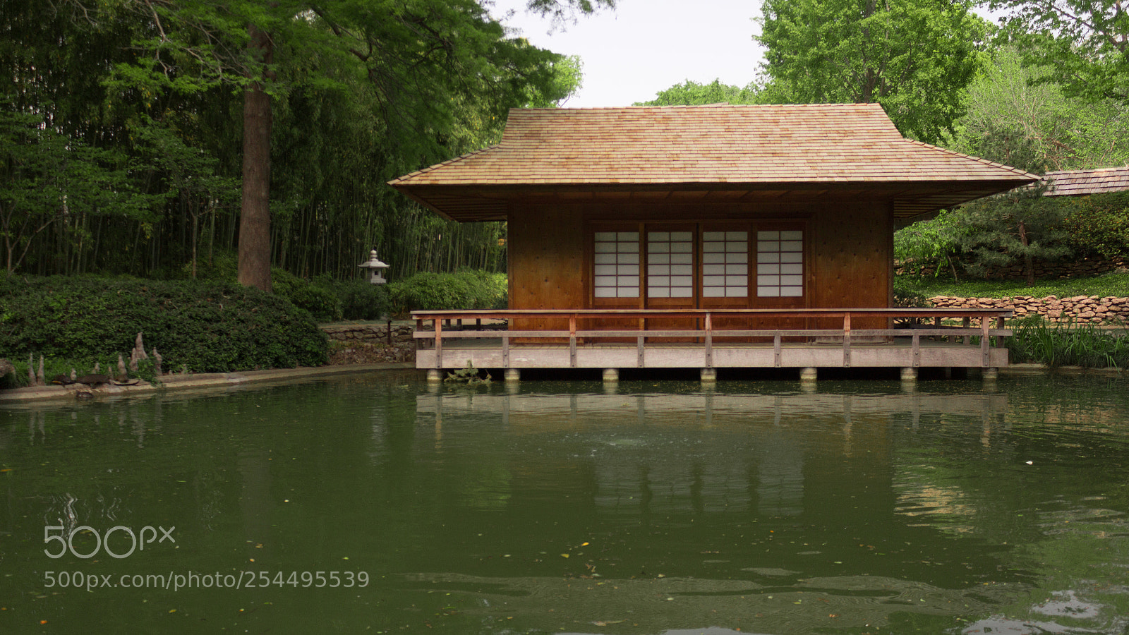 Canon EOS 1200D (EOS Rebel T5 / EOS Kiss X70 / EOS Hi) sample photo. Clift ft. worth japanesegarden photography